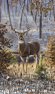  cerf Tableaux - whitetail solitaire